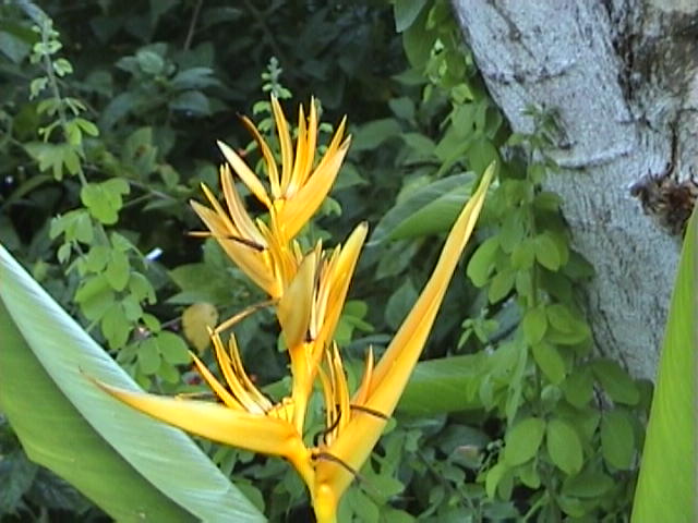Bali-Nusa-Dua12