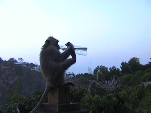 Tempel Uluwatu06