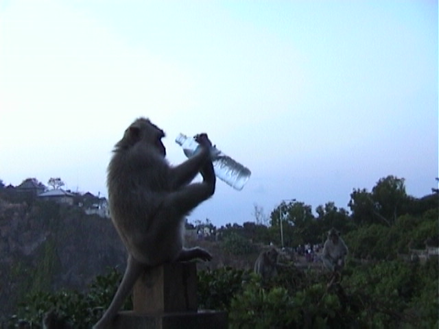 Tempel Uluwatu07