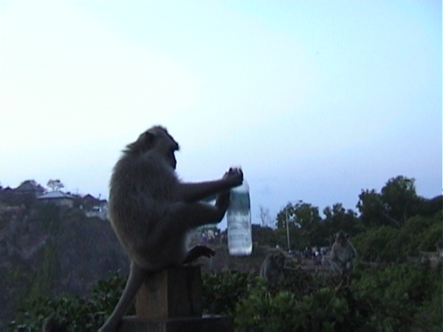 Tempel Uluwatu08