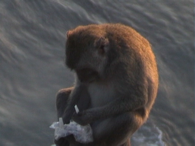 Tempel Uluwatu11