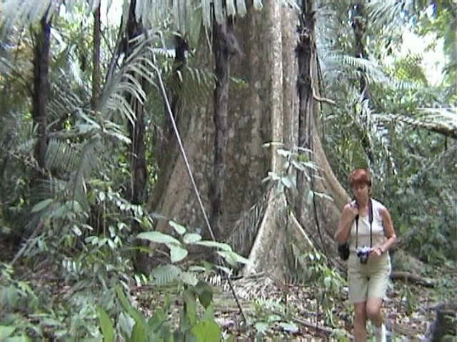 f-Sumatra002
